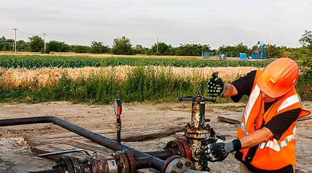 Safety Gloves: The Key to Protecting Hands and Preventing Occupational Injuries