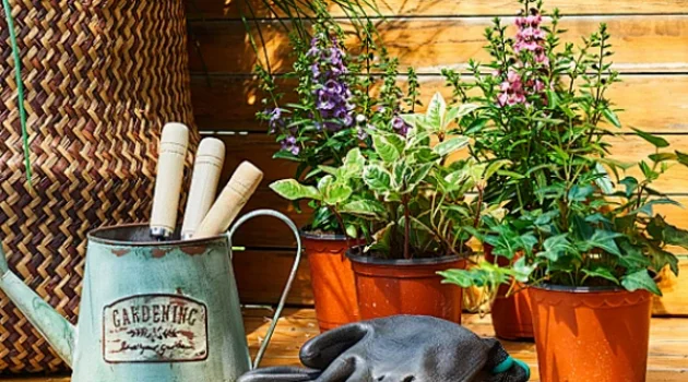 New Gear for Gardeners! Introducing the Ultimate Gardening Protective Gloves