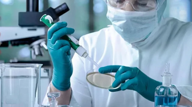 Do You Know the Importance of Chemical Protective Gloves?