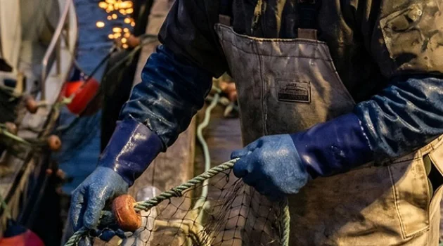 Don't Let a Fish Spine Become a "Deadly Needle"! The Hidden Crisis Behind Fishermen's Finger Puncture Wounds – And Your Protection Guide