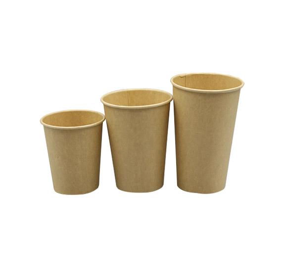 -4_0002_QYP_1919-PLA paper cup