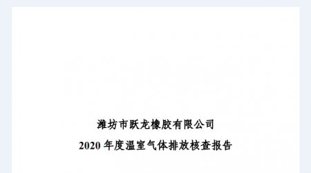 2020年度温室气体排放核查报告