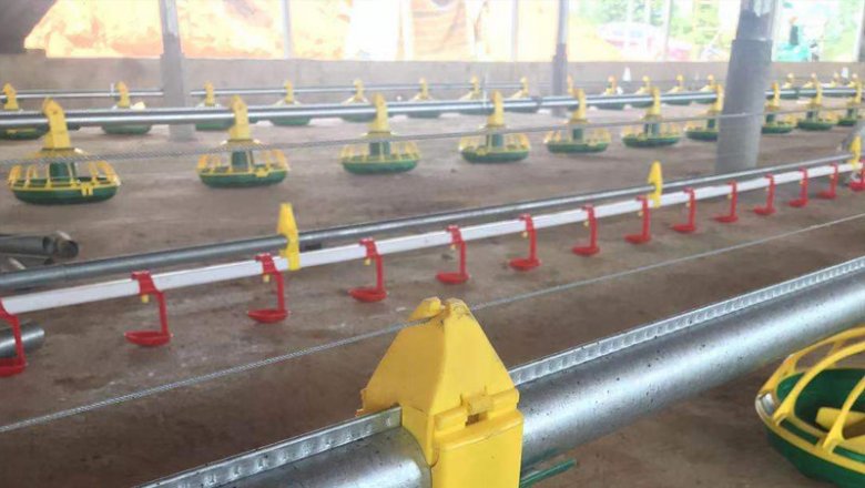 broiler pan feeder pan feeding system for broiler farms equipment