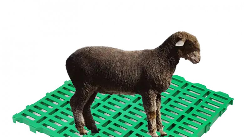 goat slat floor for goat farm equipments  new