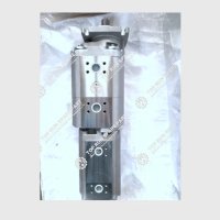 Hydraulic Pump 803000411