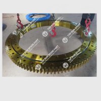 Slewing Bearings