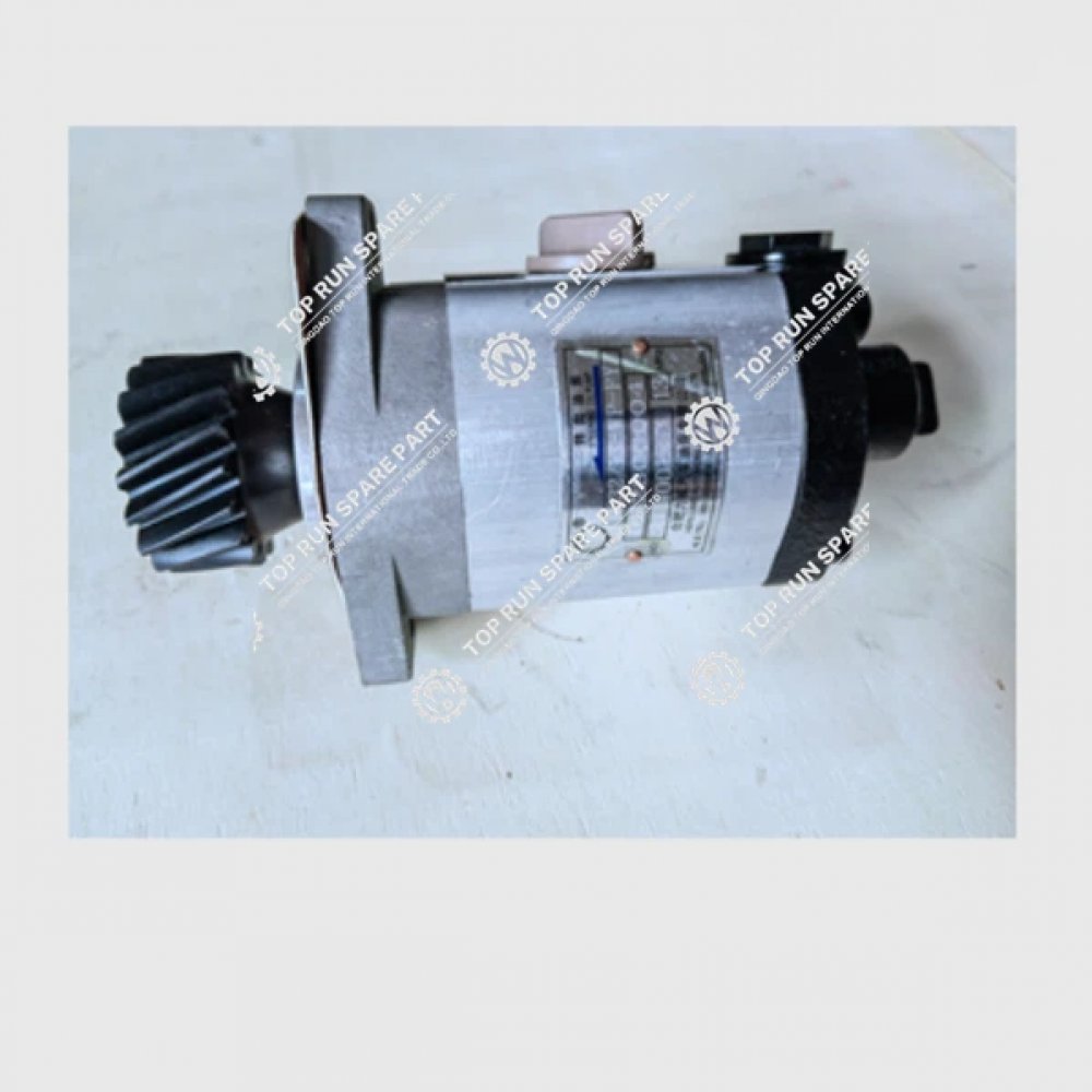 Steering Pump 1032300004
