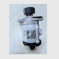 Steering Pump 1032300004