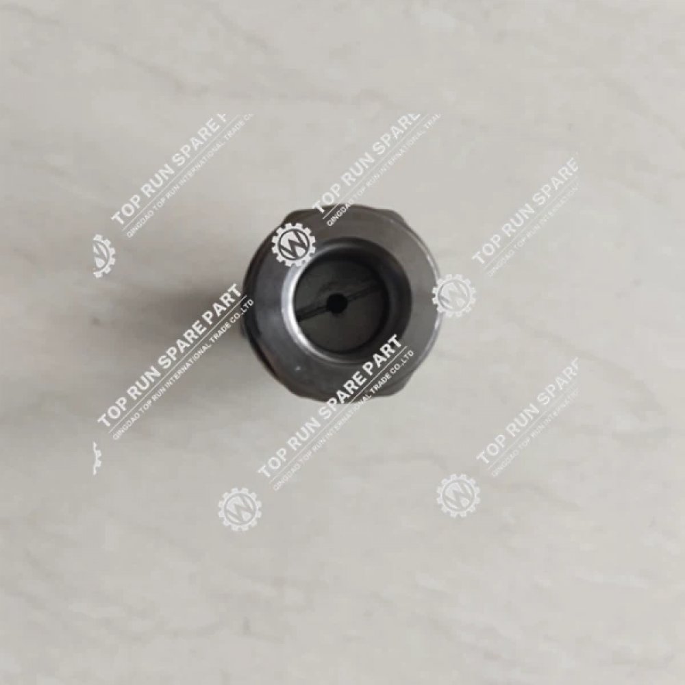 Transducer Pressure Sensor DAVS311-11