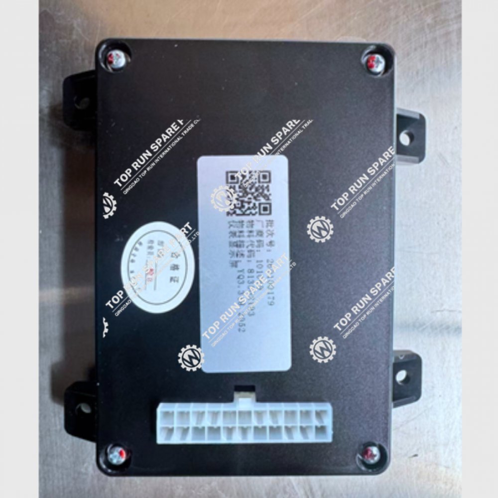 Instrument Display Screen 813502193 