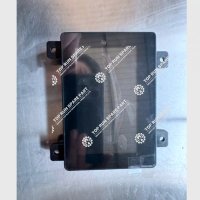 Instrument Display Screen 813502193 