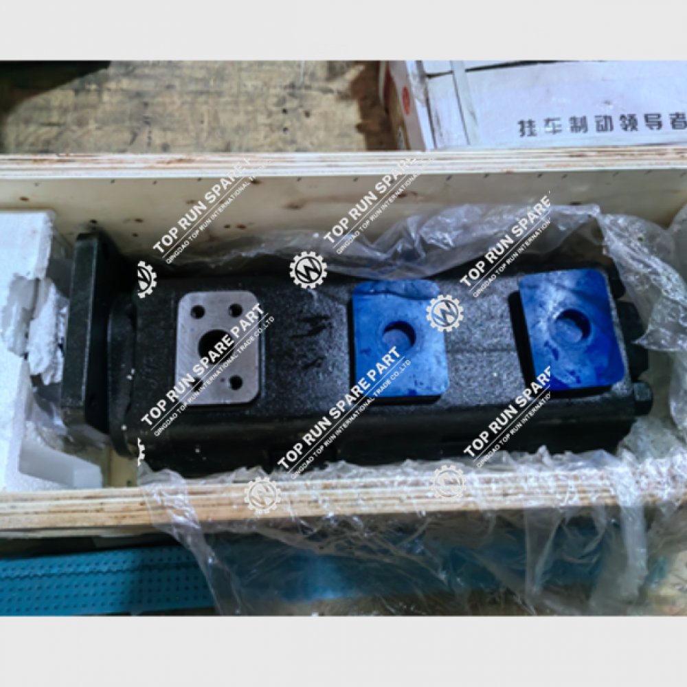 Hydraulic Pump 60250779