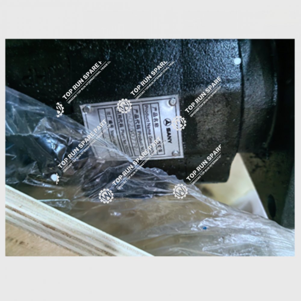 Hydraulic Pump 60250779