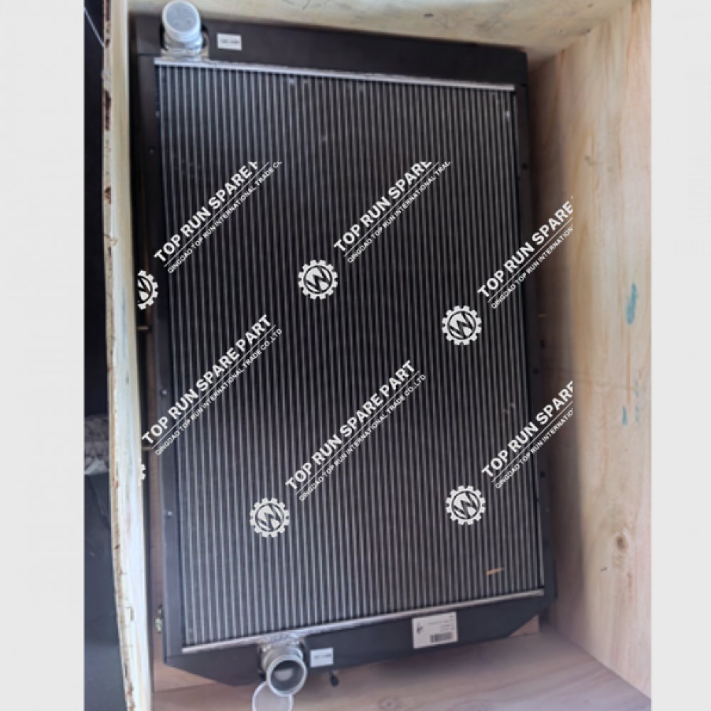 Radiator Assembly 1000300019