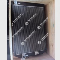 Radiator Assembly 1000300019
