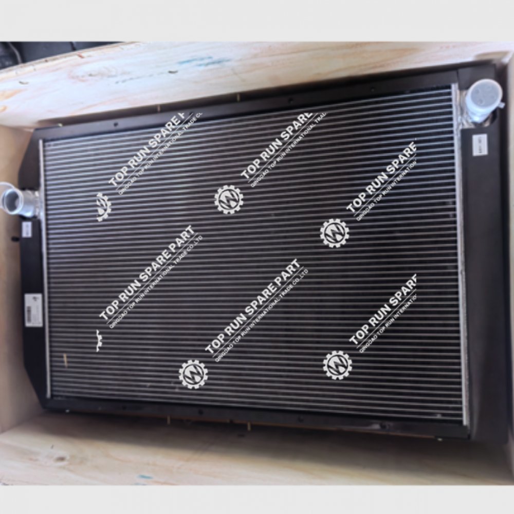Radiator Assembly 1000300019