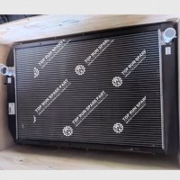 Radiator Assembly 1000300019