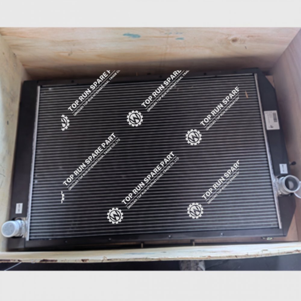 Radiator Assembly 1000300019