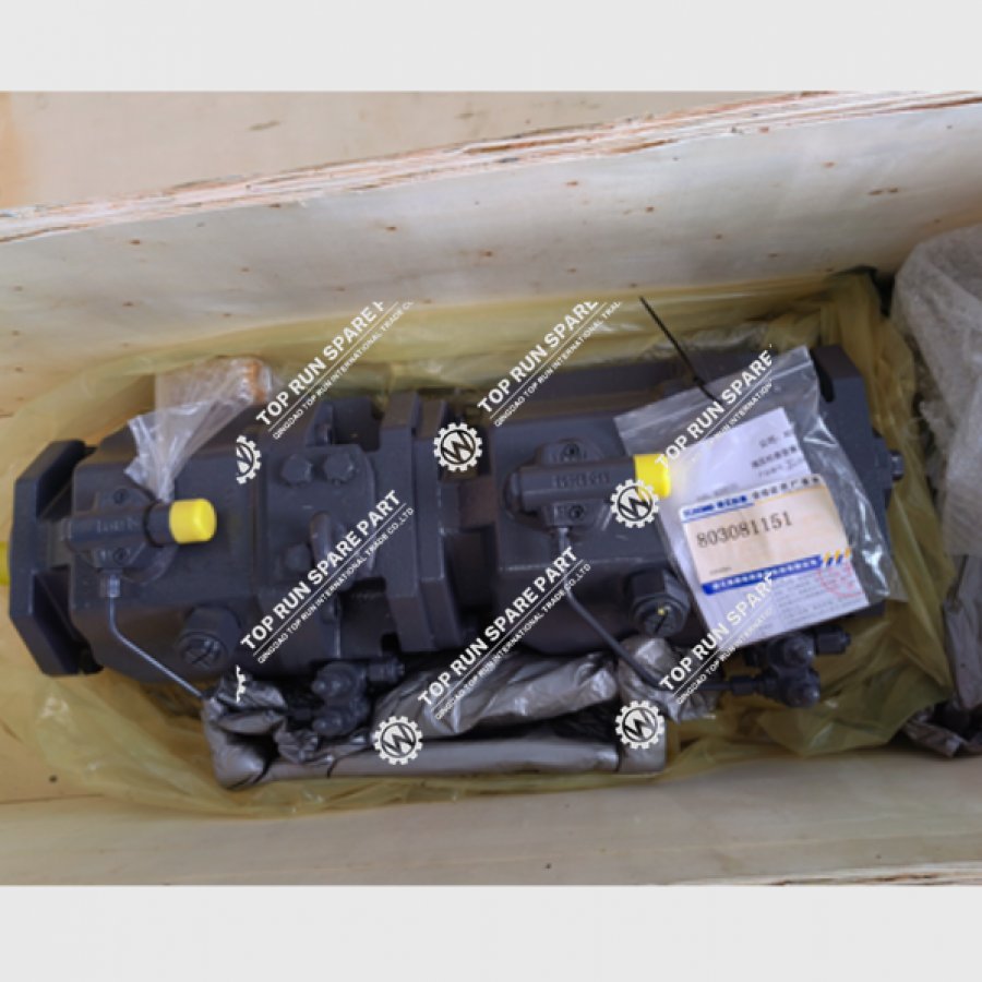 Double Variable Piston Pump 803081151