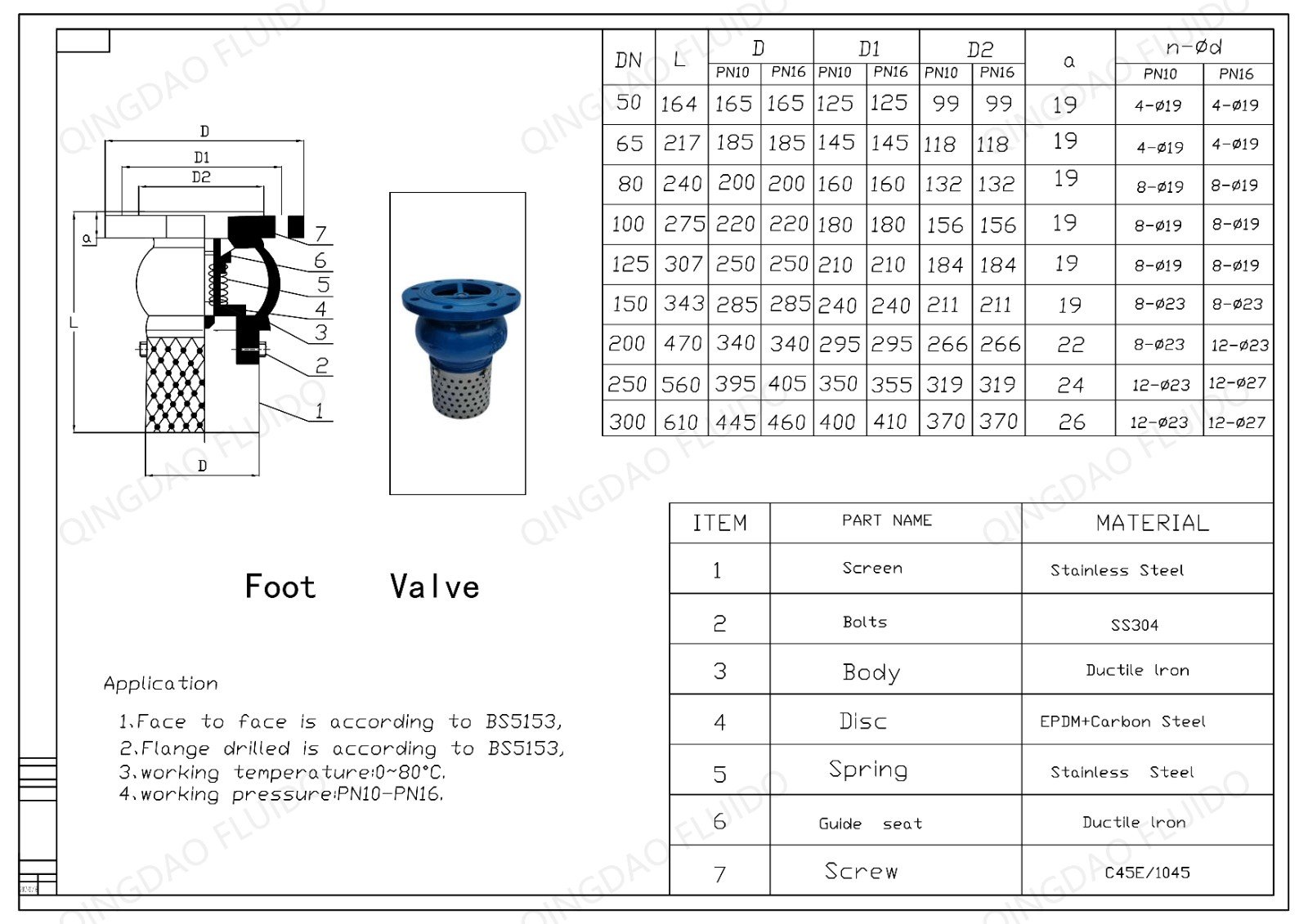 BS5153-cast-iron-foot-valve-with-stainless-steel-screen-spring-epdm-disc