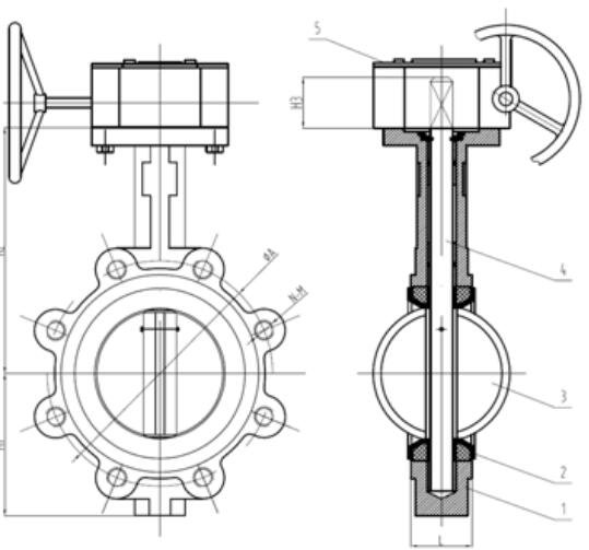 lug type valve