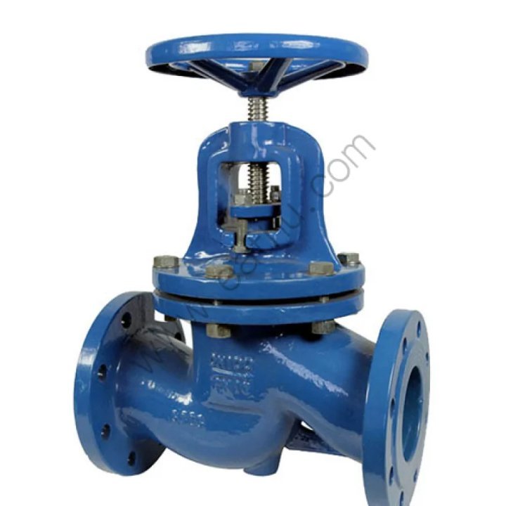 BS5152 Cast Iron Globe Valve