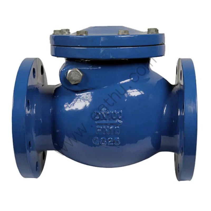 Swing Check Valve