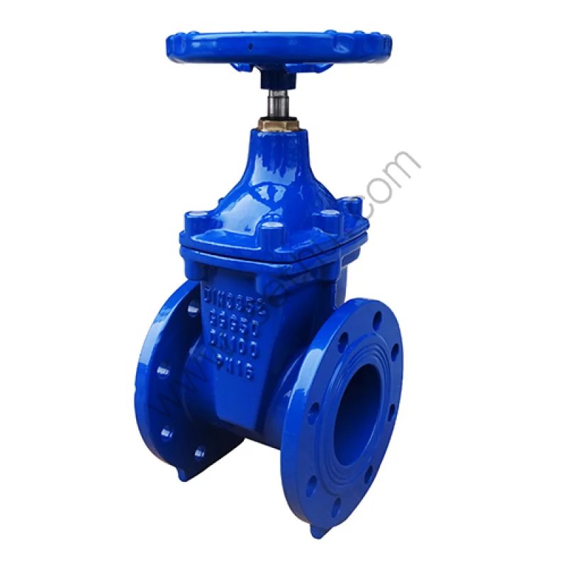 gate valve