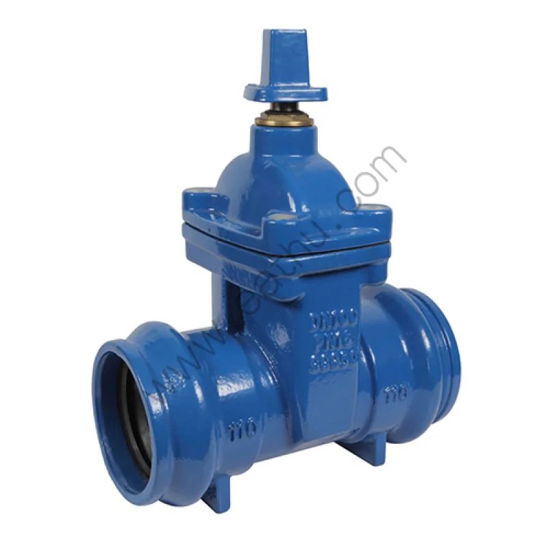 gate valve