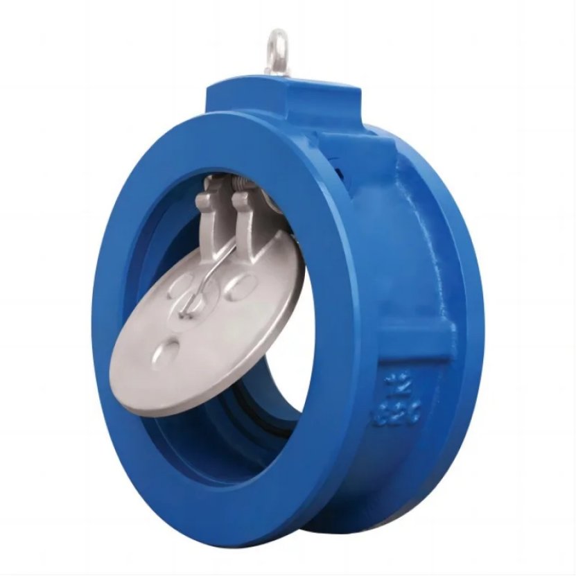 Check Valves