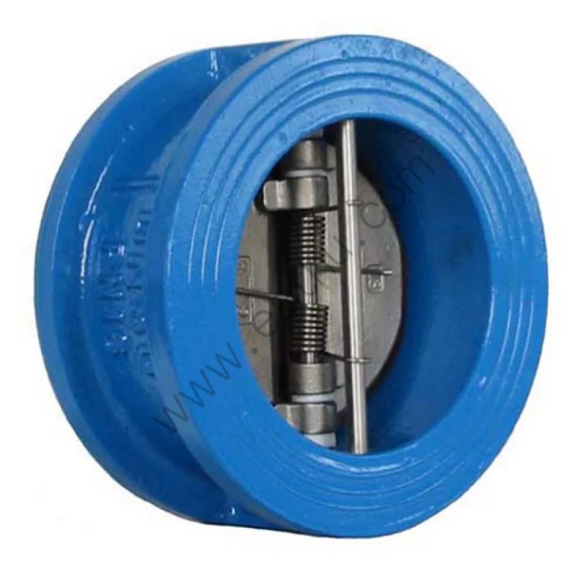 check valve
