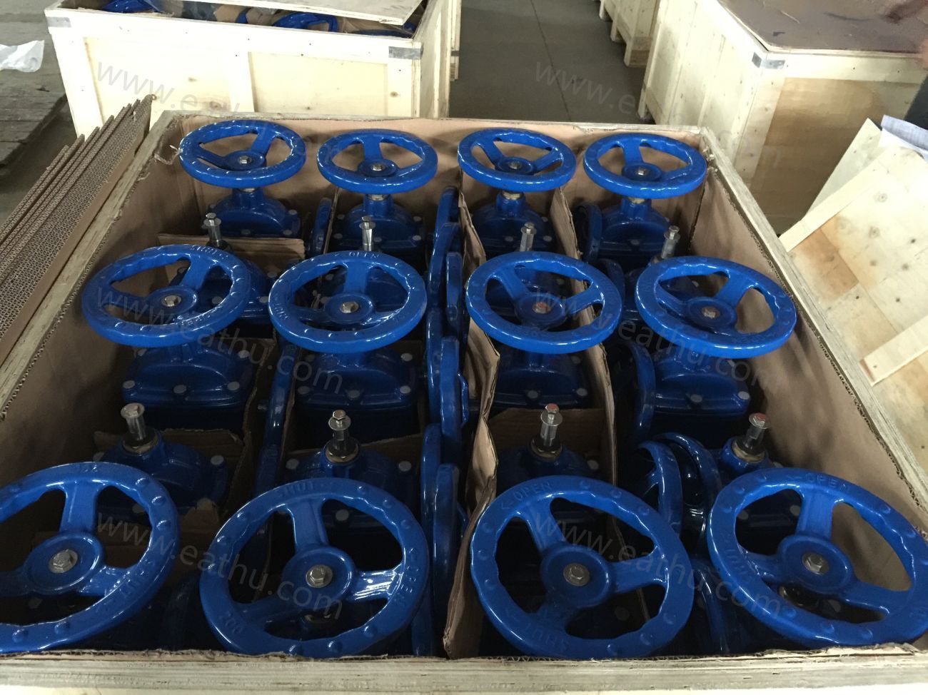 cast iron DIN3352 PN10 gate valves inspection pallet package