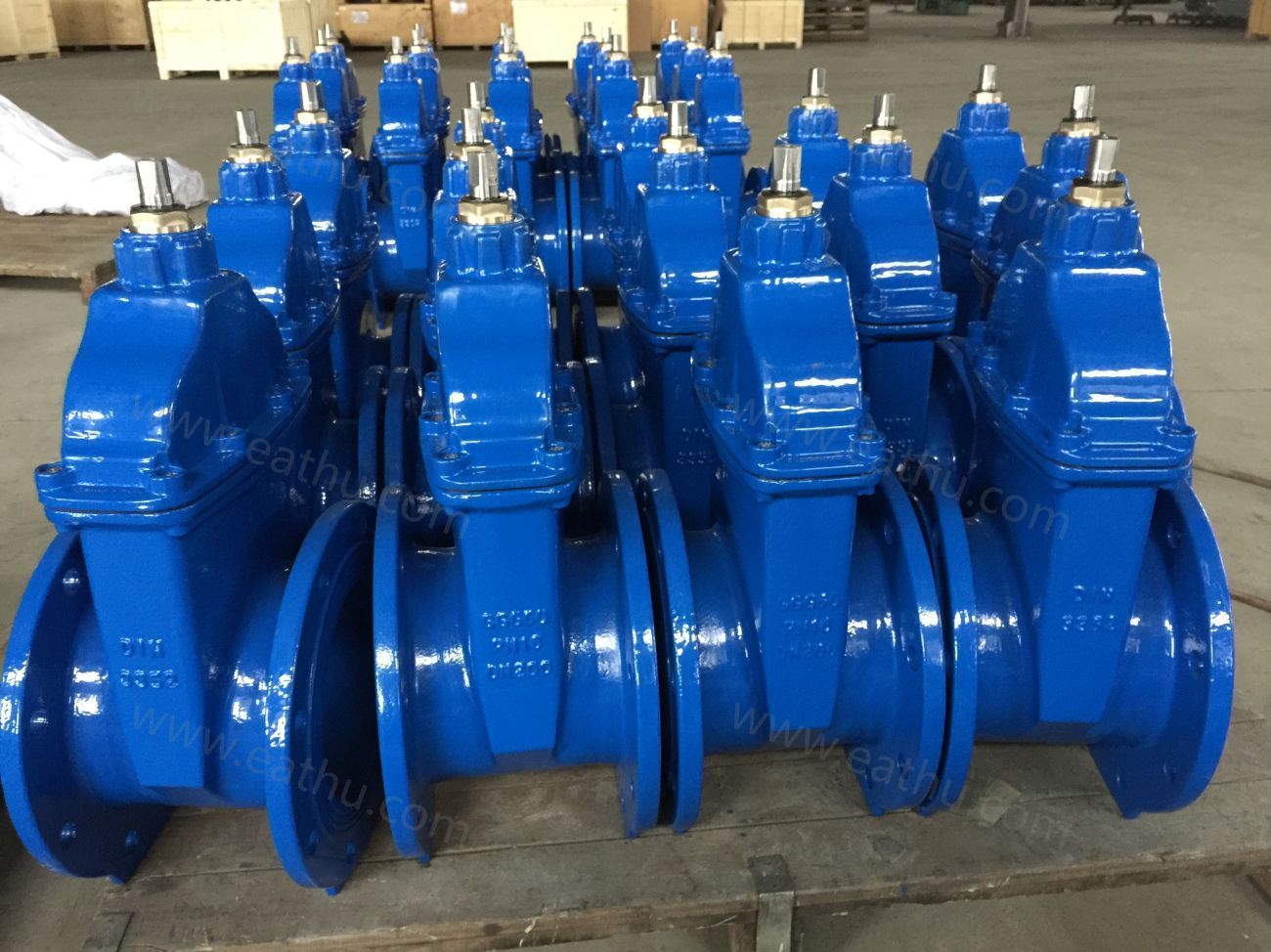 cast iron DIN3352 PN10 gate valves inspection before the package