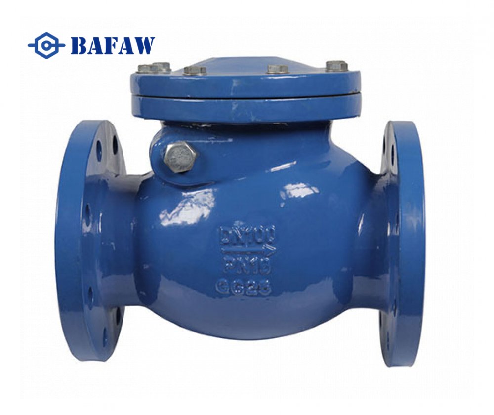 BS5153 PN16 Cast Iron Swing Check Valve