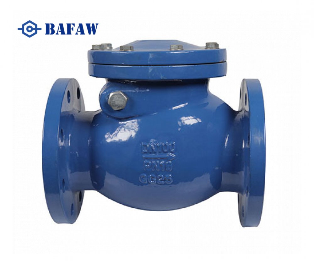MSS SP-71 Cast iron Swing Check Valve
