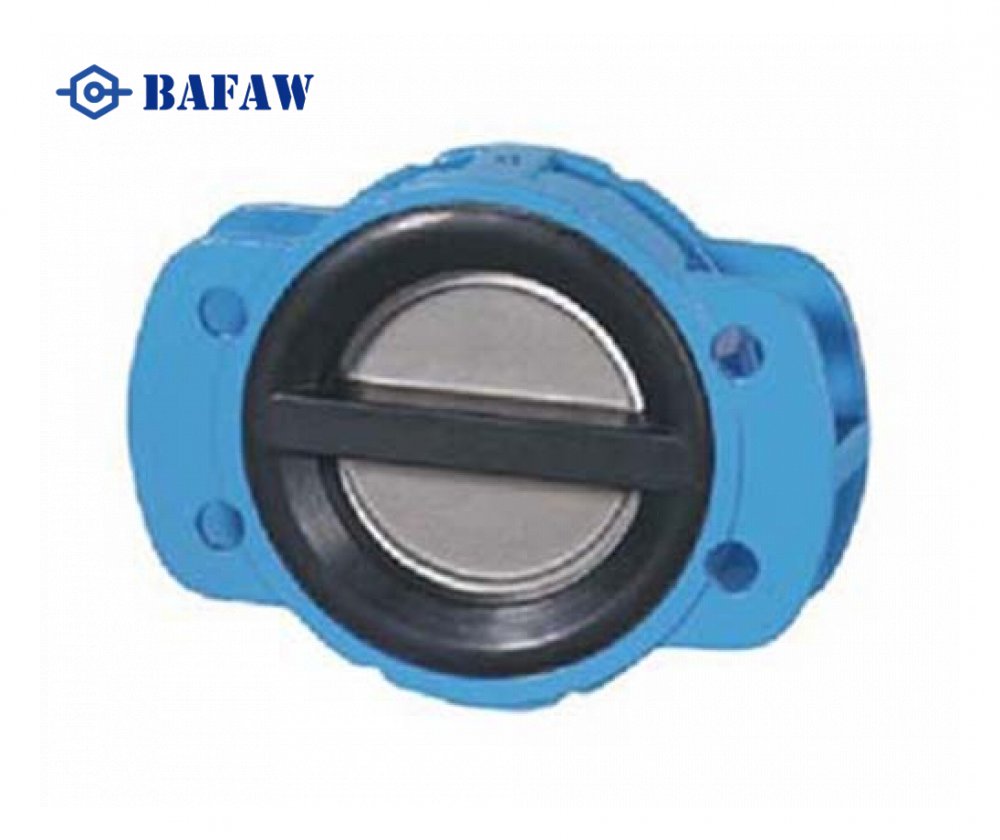 Rubber Coated Cast iron Check Valve