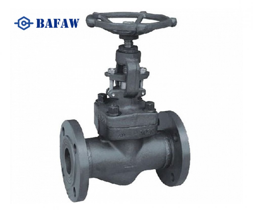Forged Steel Globe Valve