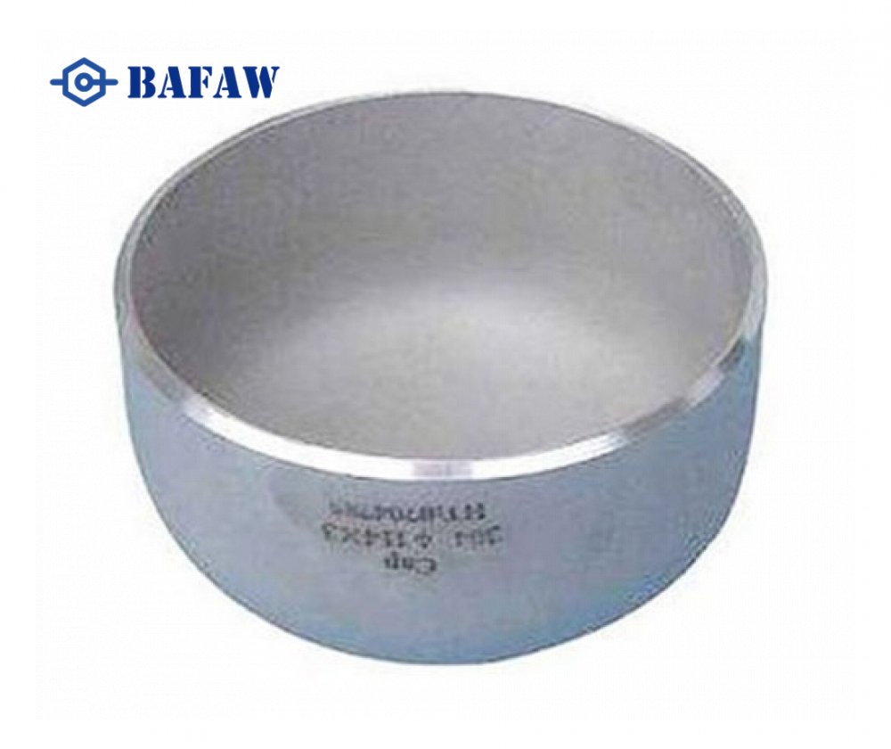 Stainless Steel Cap 