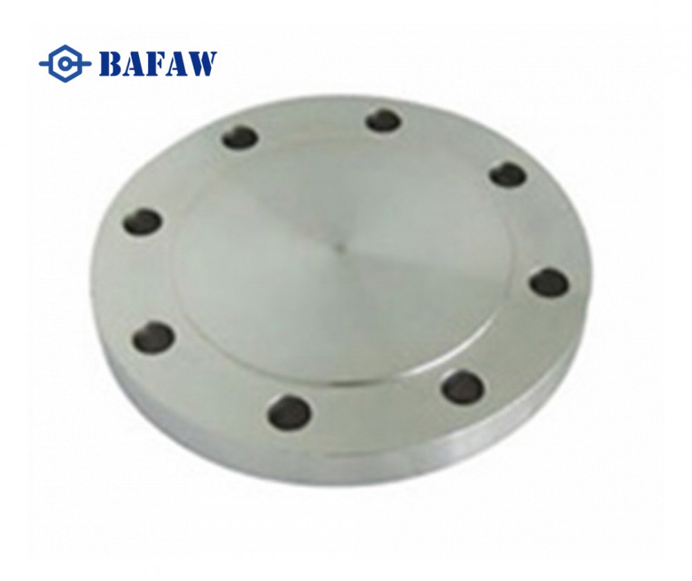 Stainless Steel Blind Flange