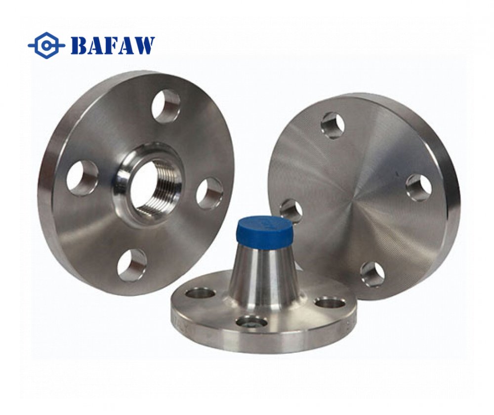 Stainless Steel Forged Flanges