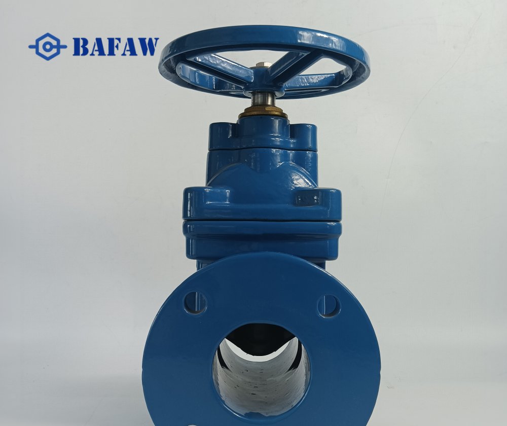 SABS 664 Ductile iron Gate Valve-4