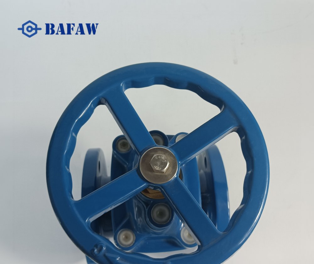 SABS 664 Ductile iron Gate Valve-3
