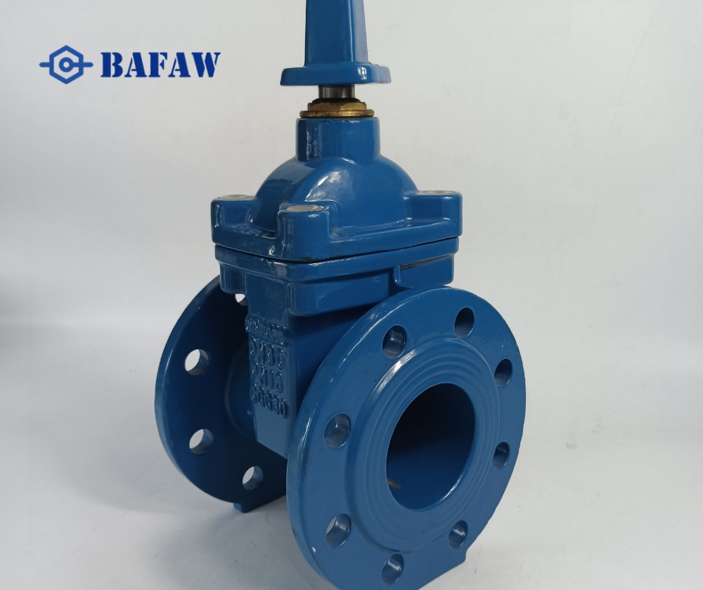 Resilient Seat Cast iron Gate Valve-2