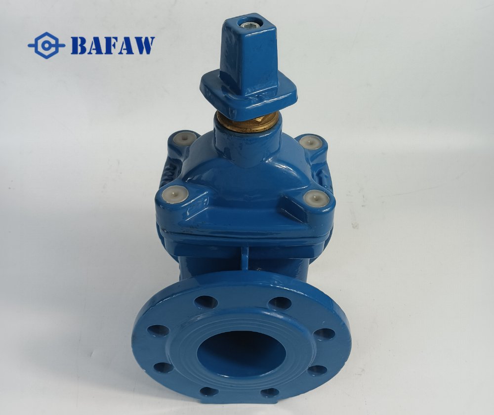 Resilient Seat Cast iron Gate Valve-4