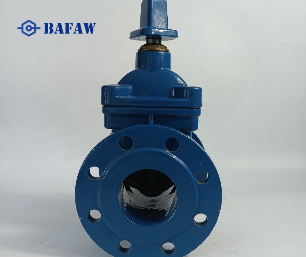 Resilient Seat Cast iron Gate Valve-3