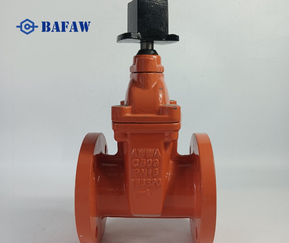 C509 AWWA C515 Cast iron Gate Valve-1