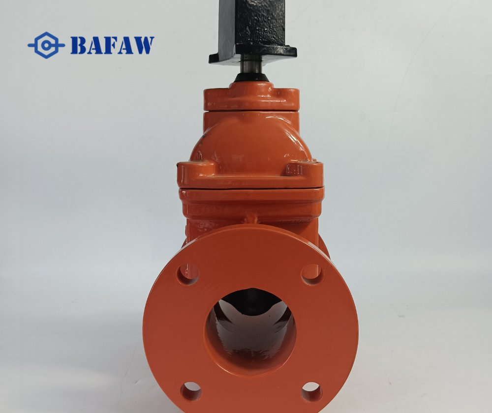 C509 AWWA C515 Cast iron Gate Valve-4
