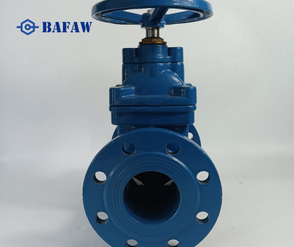 Resilient Seat Gate Valve-2
