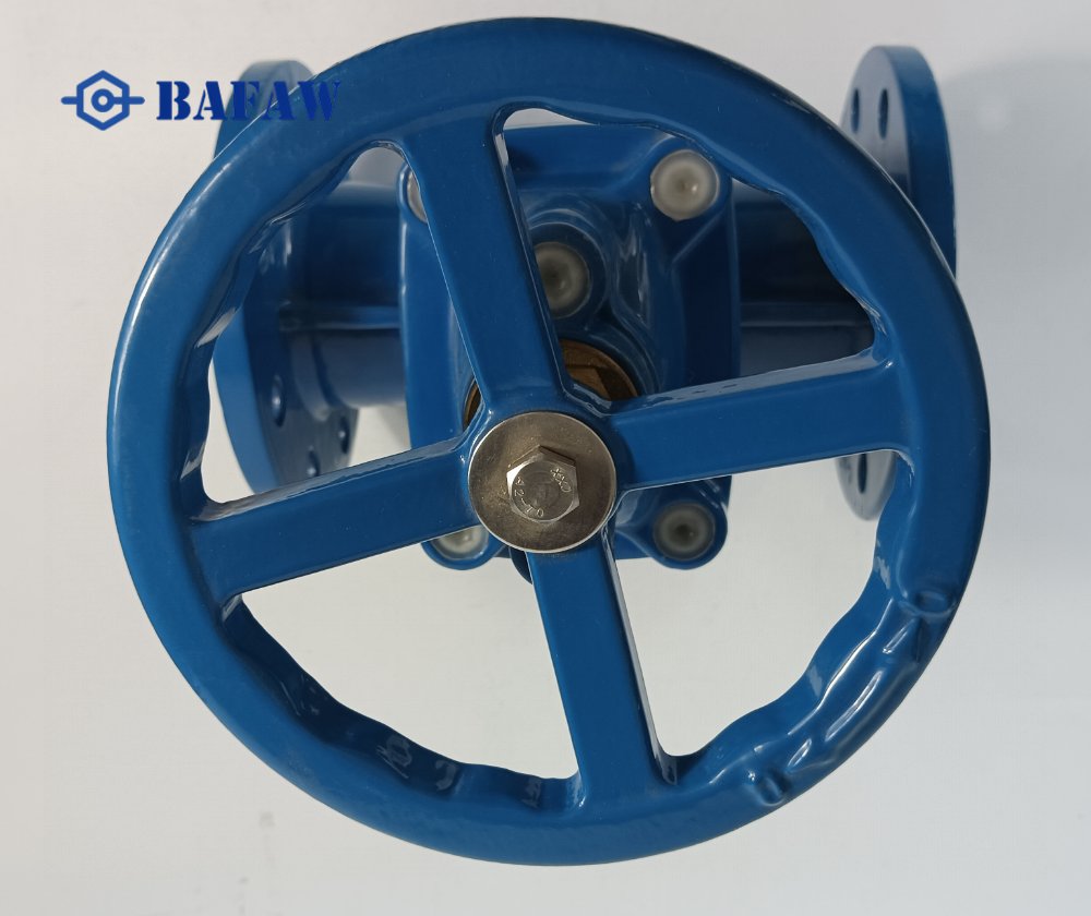 Resilient Seat Gate Valve-4