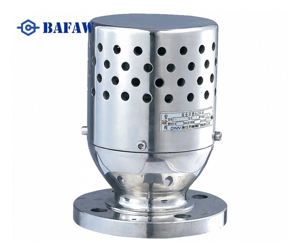 Stainless Steel Material Vacuum negative pressure safety valve